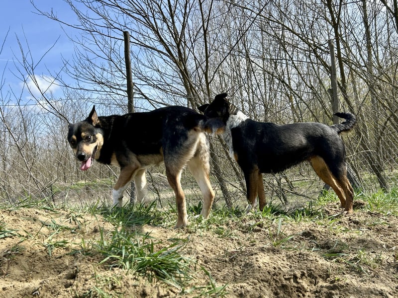 Borso möchte das Leben leben!