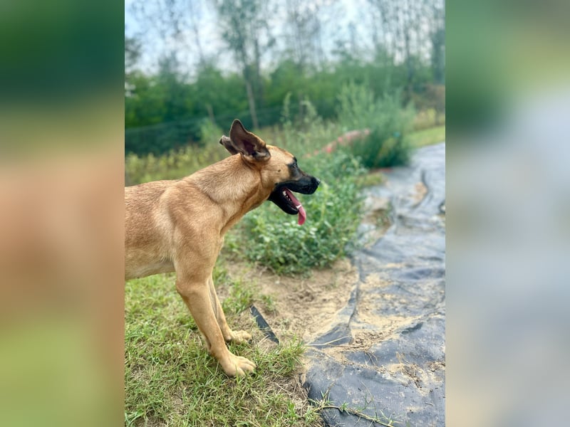 Bescheidene Klara sucht Liebe!