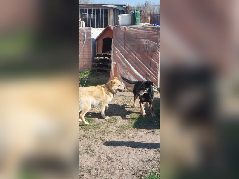 Kira – ein Lächeln, das Herzen erobert ❤️