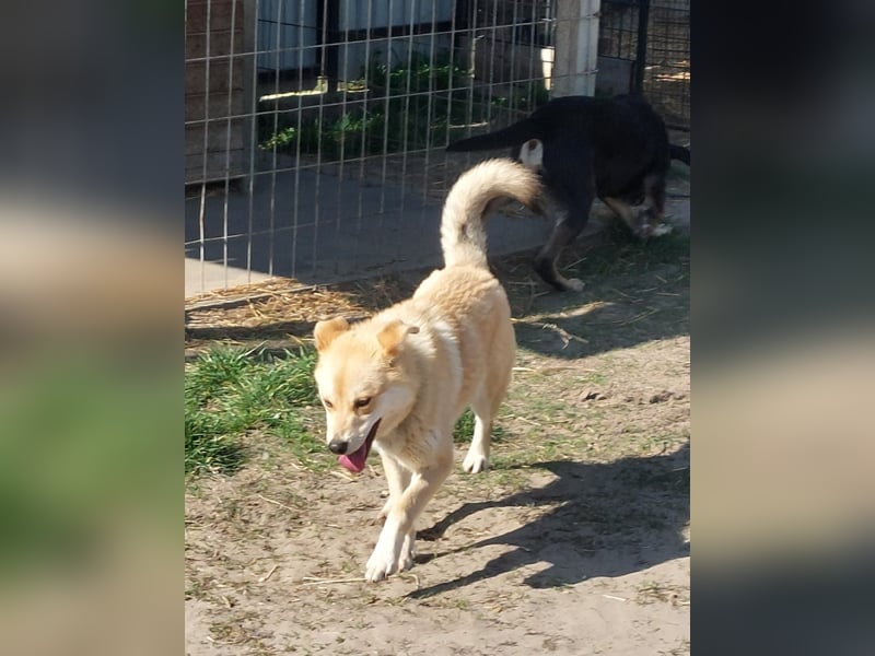 Kira – ein Lächeln, das Herzen erobert ❤️