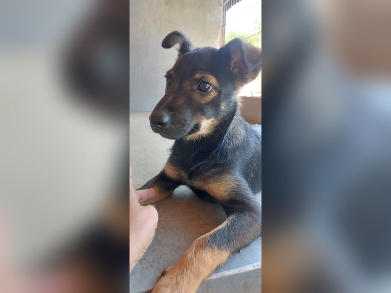 Liza, 5/26 geb, sucht dich!