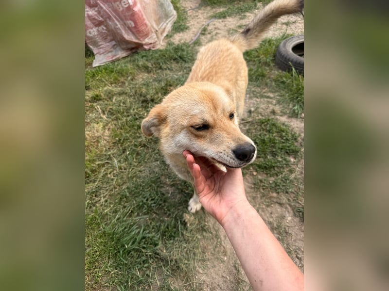 Kira – ein Lächeln, das Herzen erobert ❤️