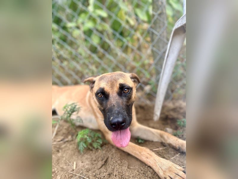 Bescheidene Klara sucht Liebe!