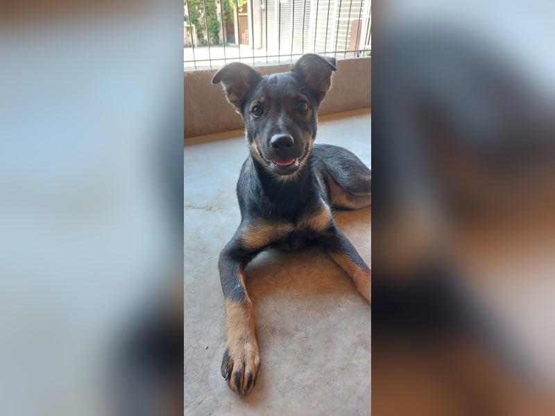Liza, 5/26 geb, sucht dich!