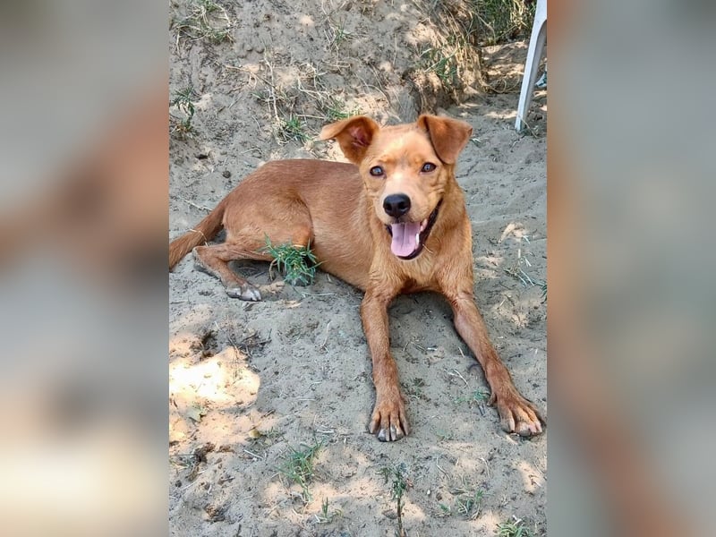 Lia die Weltentdeckerin sucht ihre Familie