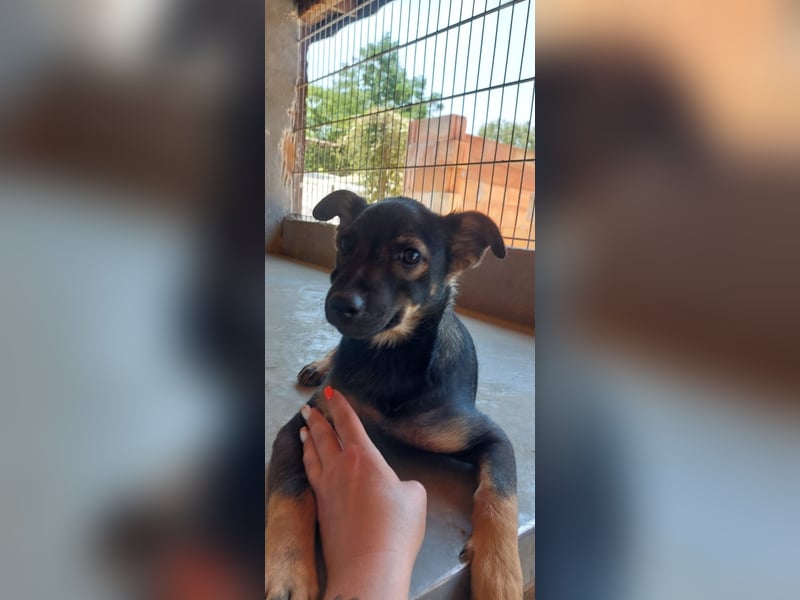 Liza, 5/26 geb, sucht dich!
