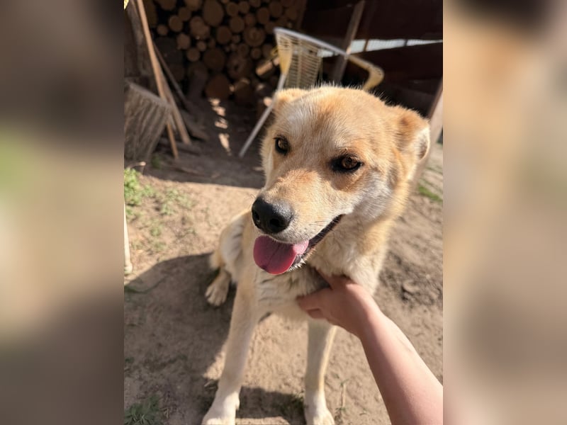 Kira – ein Lächeln, das Herzen erobert ❤️