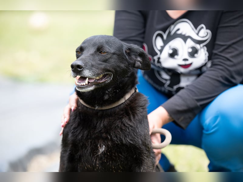 Die liebe Lujzi wartet schon sooo lange!