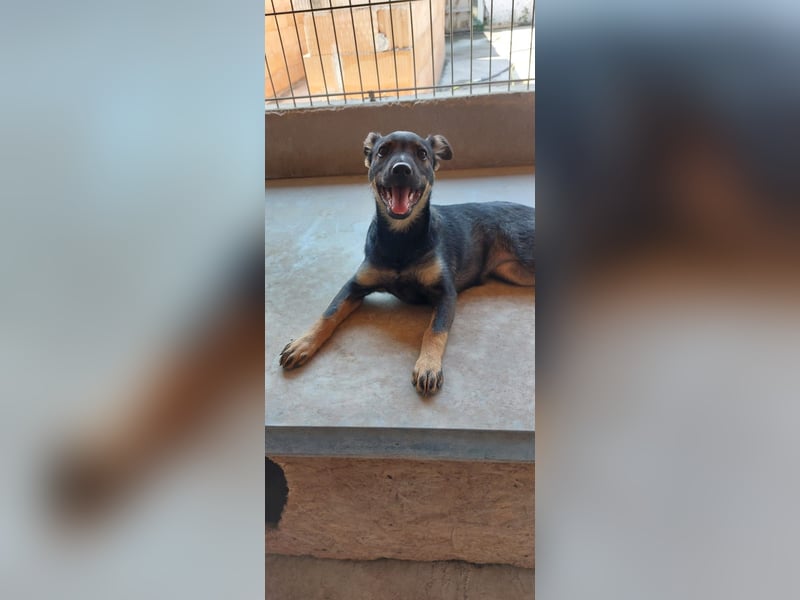Liza, 5/26 geb, sucht dich!