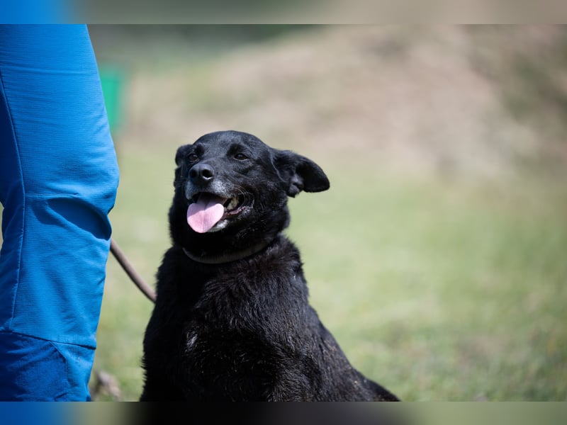 Die liebe Lujzi wartet schon sooo lange!