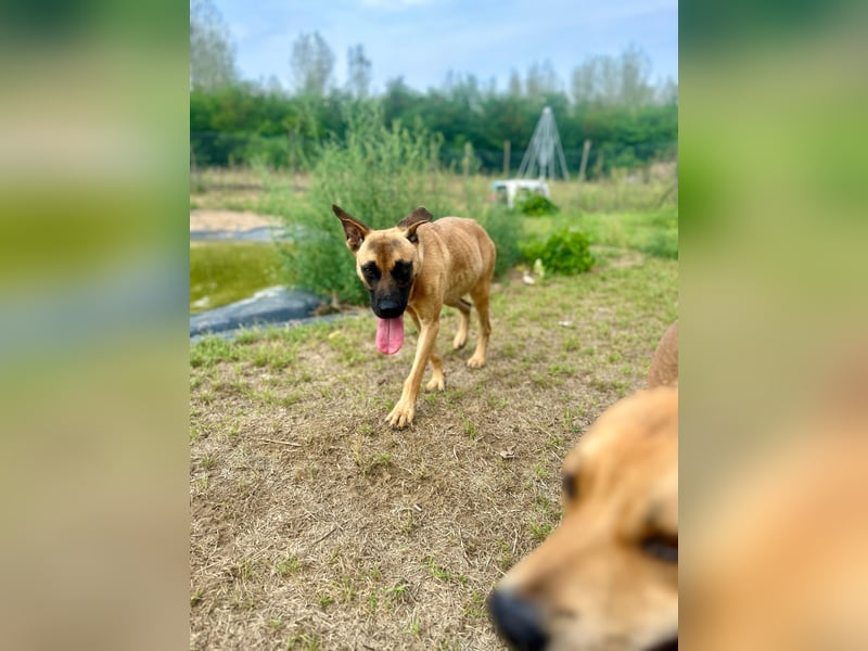 Bescheidene Klara sucht Liebe!