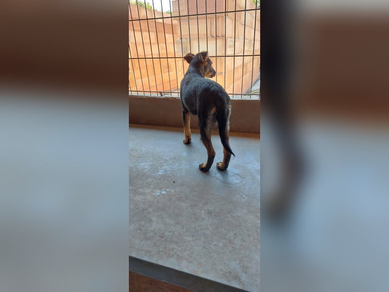 Liza, 5/26 geb, sucht dich!