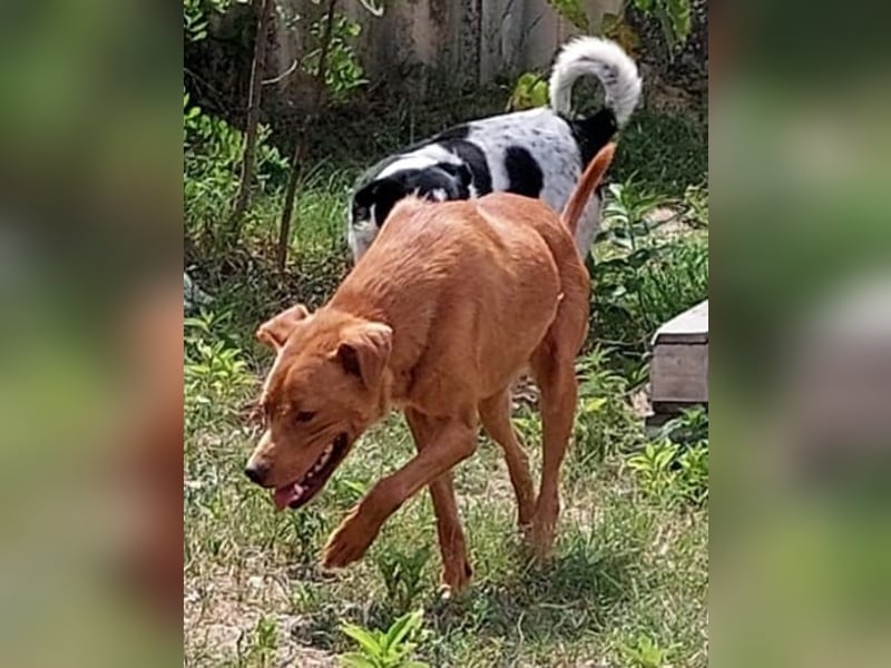 Lia die Weltentdeckerin sucht ihre Familie