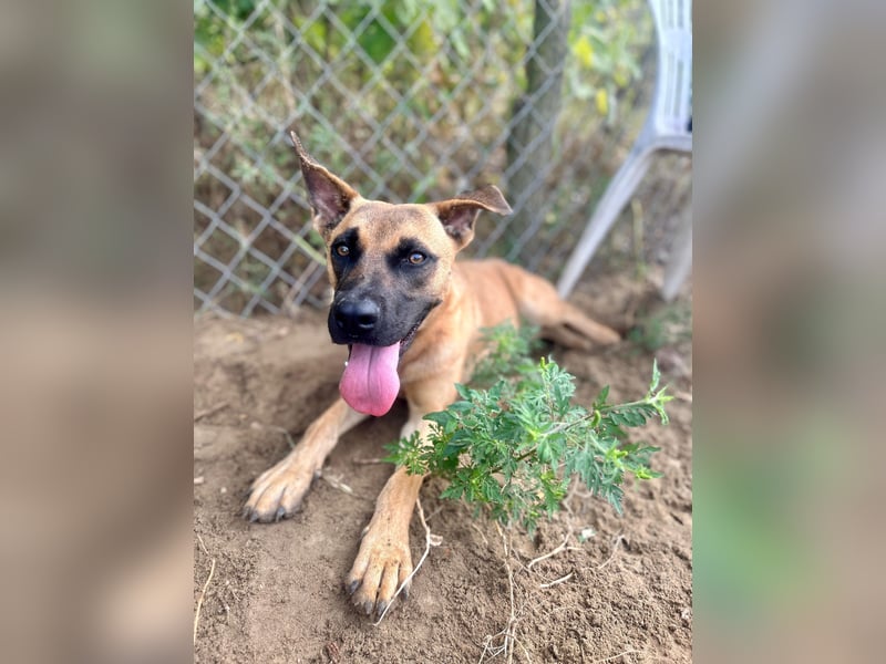 Bescheidene Klara sucht Liebe!