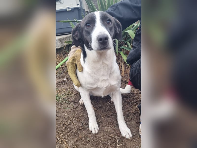 Cukor sucht ihr Glück!