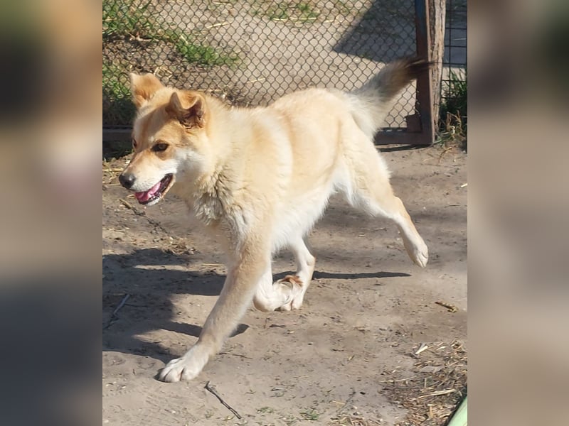 Kira – ein Lächeln, das Herzen erobert ❤️