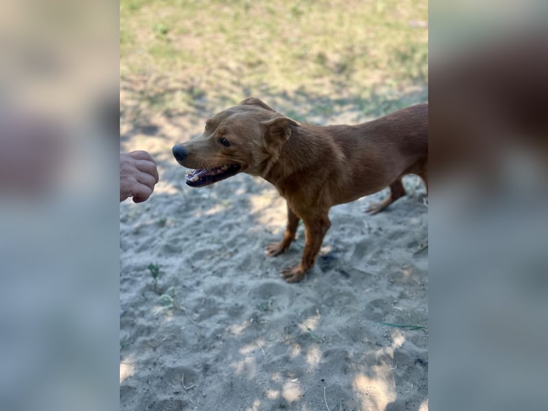 Lia die Weltentdeckerin sucht ihre Familie