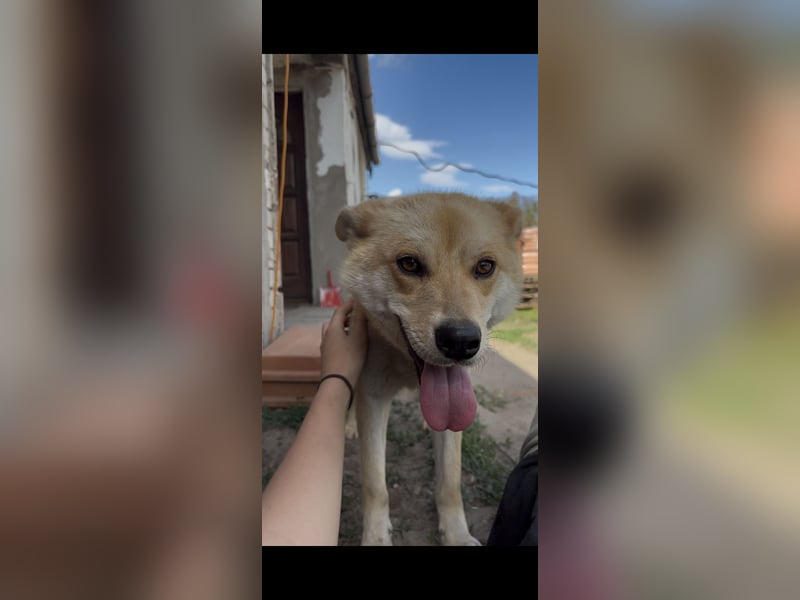Kira – ein Lächeln, das Herzen erobert ❤️