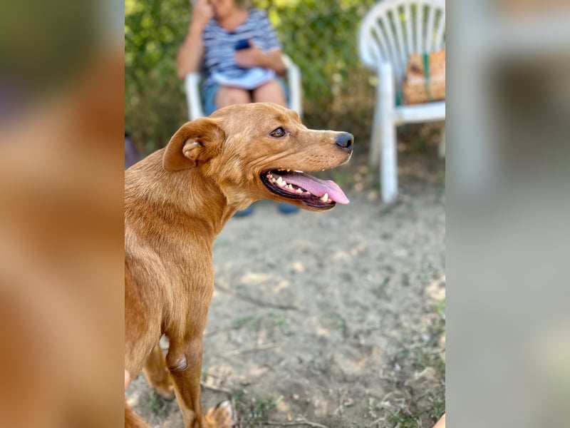 Lia die Weltentdeckerin sucht ihre Familie