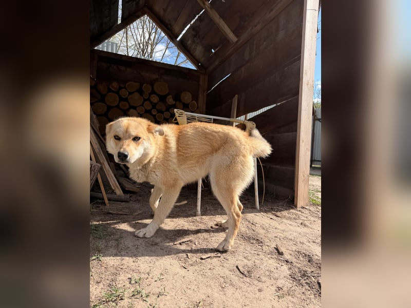 Kira – ein Lächeln, das Herzen erobert ❤️