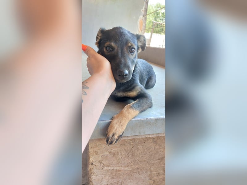 Liza, 5/26 geb, sucht dich!