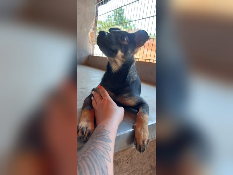 Liza, 5/26 geb, sucht dich!