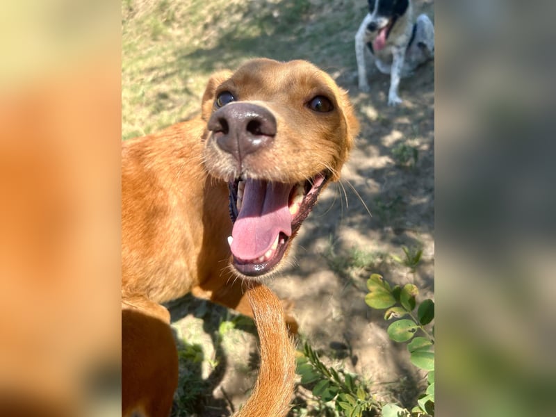 Lia die Weltentdeckerin sucht ihre Familie