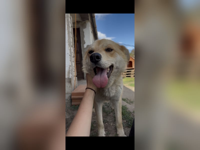 Kira – ein Lächeln, das Herzen erobert ❤️