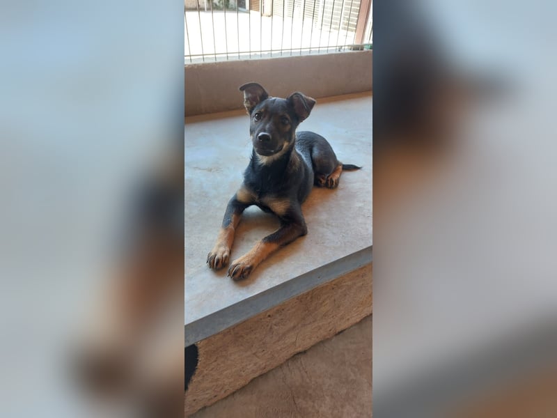 Liza, 5/26 geb, sucht dich!