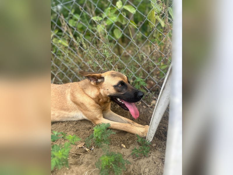 Bescheidene Klara sucht Liebe!