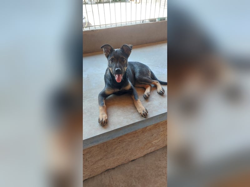 Liza, 5/26 geb, sucht dich!