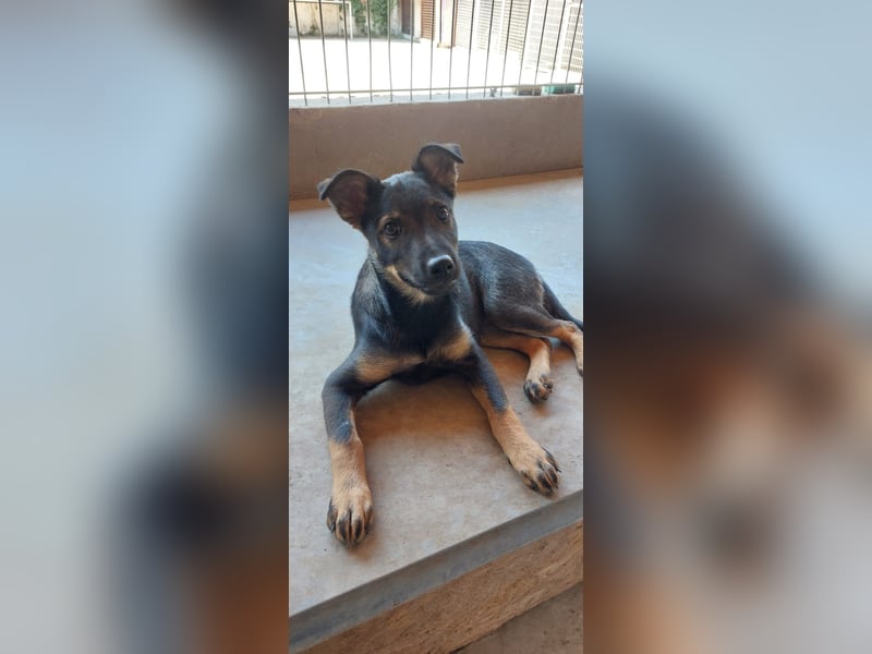Liza, 5/26 geb, sucht dich!