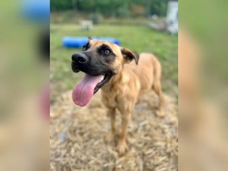 Bescheidene Klara sucht Liebe!