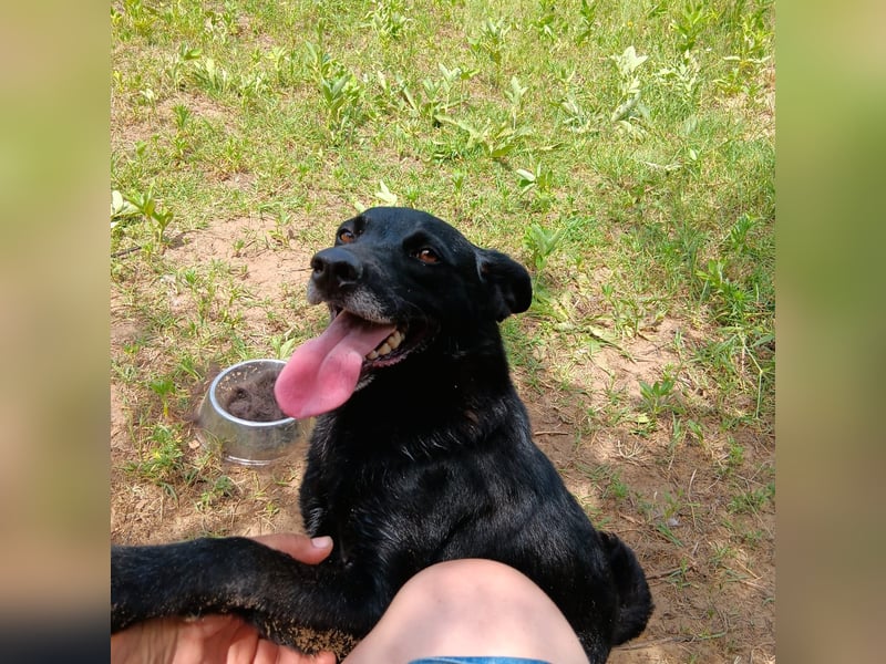 Die liebe Lujzi wartet schon sooo lange!