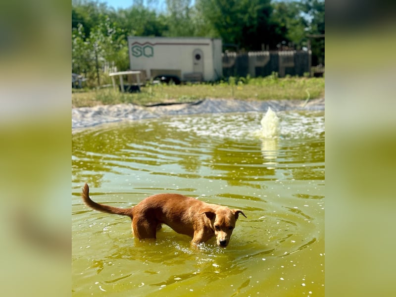 Lia die Weltentdeckerin sucht ihre Familie