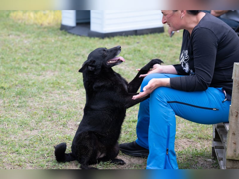 Die liebe Lujzi wartet schon sooo lange!