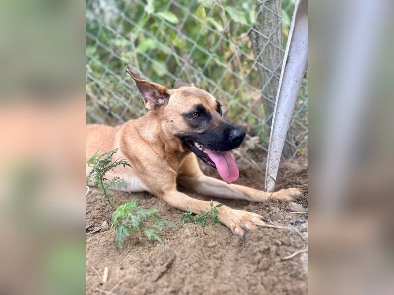 Bescheidene Klara sucht Liebe!