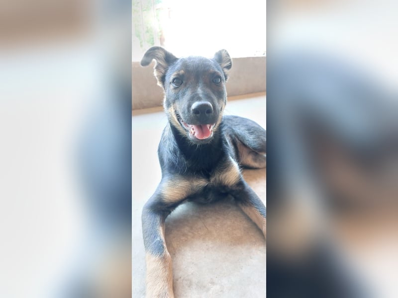 Liza, 5/26 geb, sucht dich!