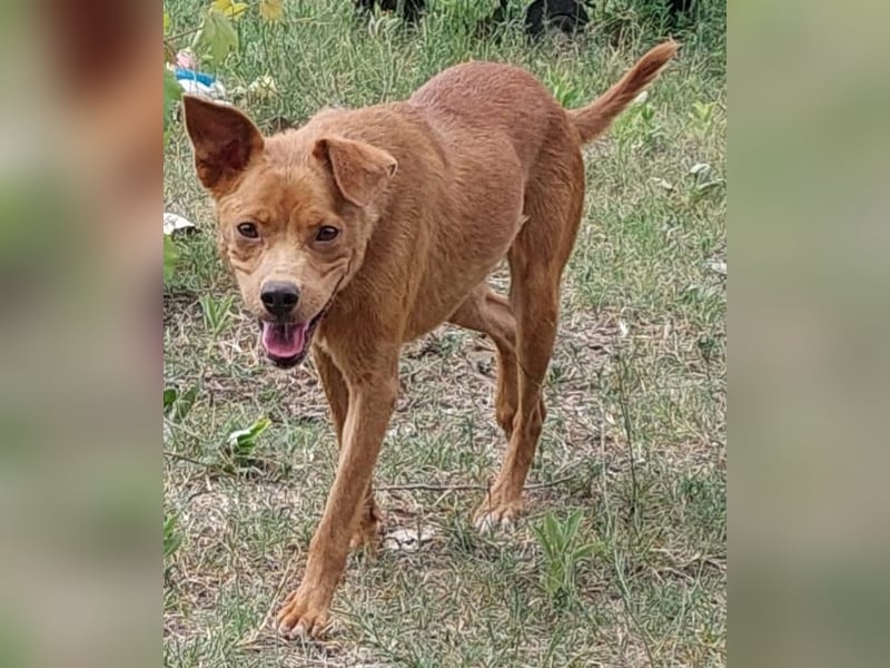 Lia die Weltentdeckerin sucht ihre Familie