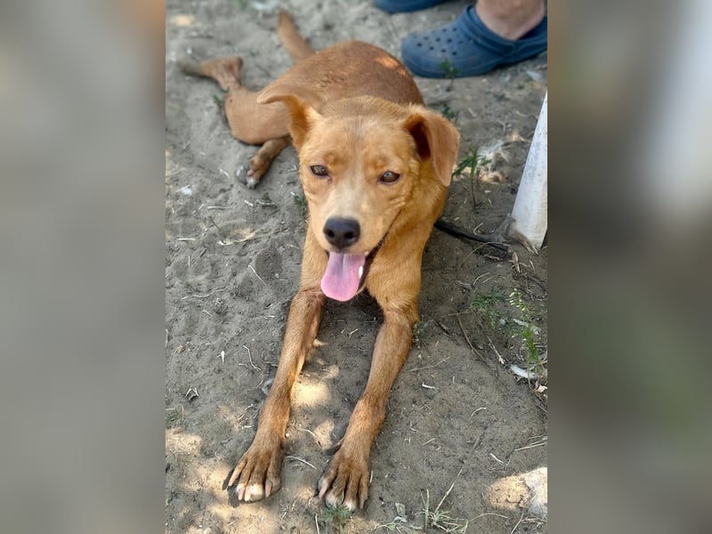 Lia die Weltentdeckerin sucht ihre Familie