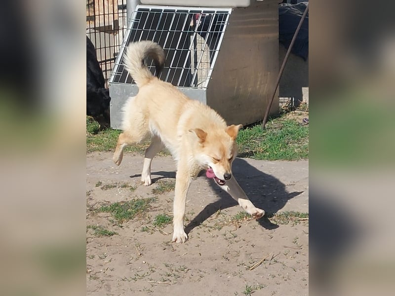 Kira – ein Lächeln, das Herzen erobert ❤️
