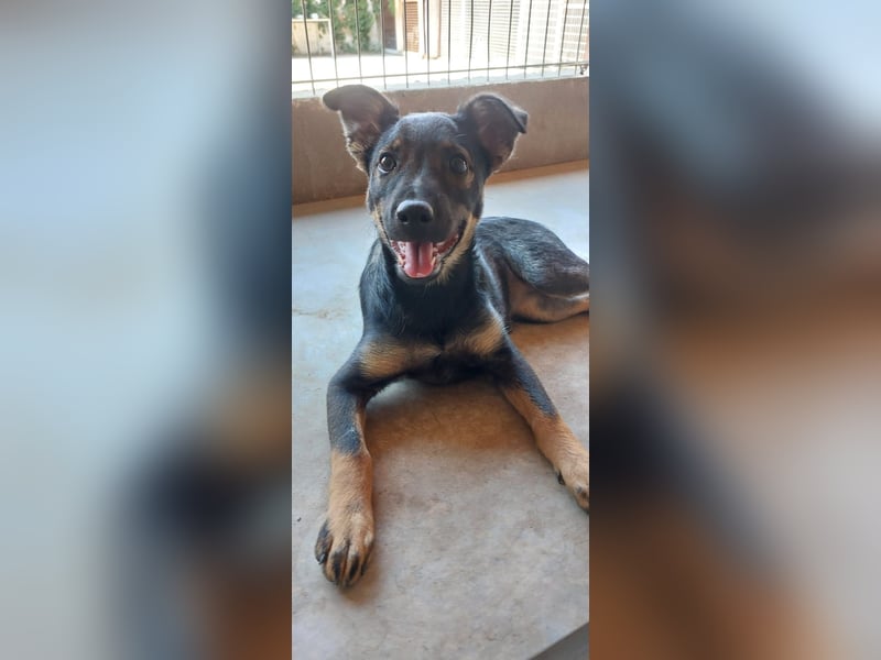 Liza, 5/26 geb, sucht dich!