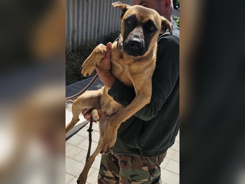 Bescheidene Klara sucht Liebe!