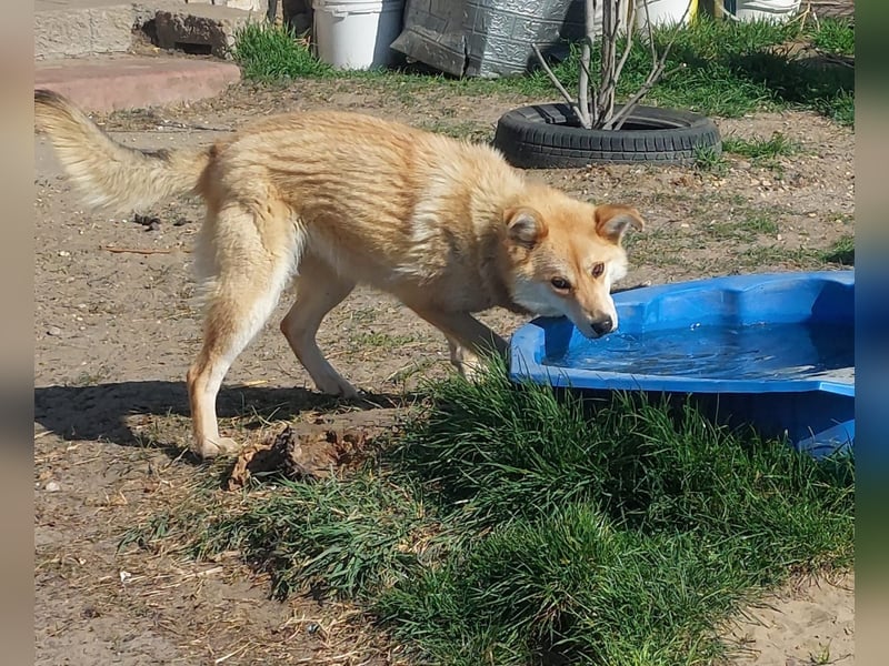 Kira – ein Lächeln, das Herzen erobert ❤️