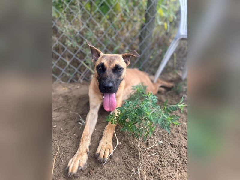 Bescheidene Klara sucht Liebe!