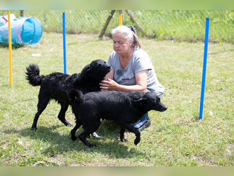 Die liebe Lujzi wartet schon sooo lange!