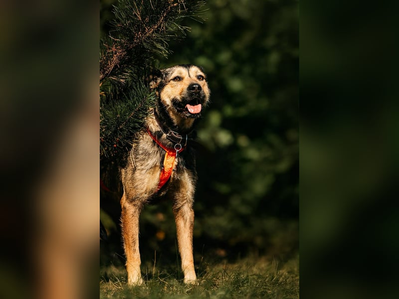 Hübsche Bulotschka sucht ihre Familie