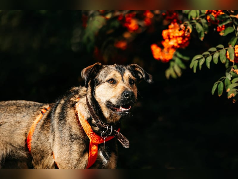 Hübsche Bulotschka sucht ihre Familie