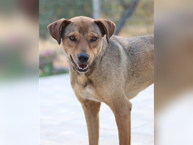 Anna, geb. ca. 03/2021, lebt in GRIECHENLAND, bei Kassiani in Serres