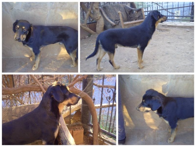 Moritz sucht seine Familie